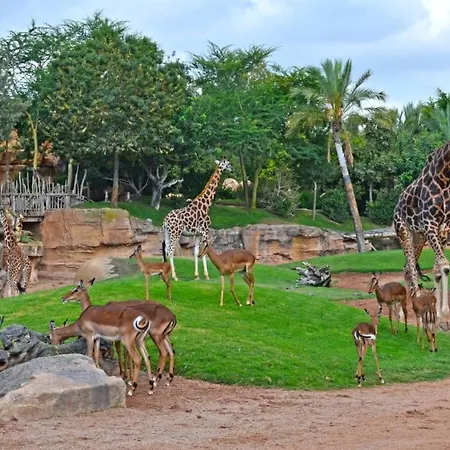 Mirador Al Mar Lejlighed